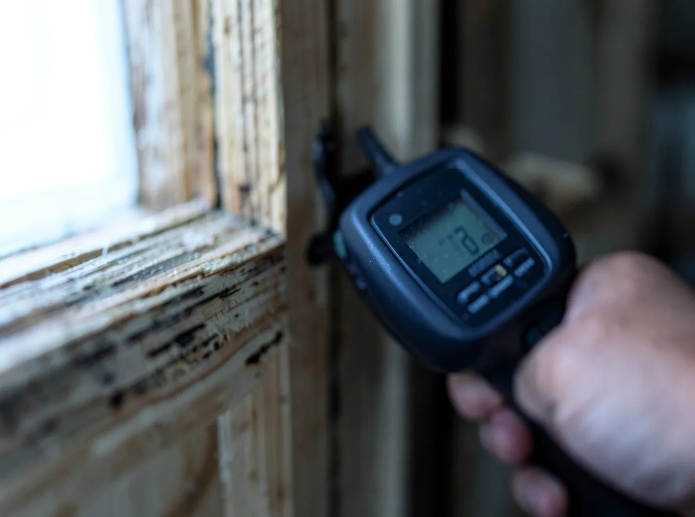 Moisture Inspection And Documentation in Chesterfield, MA